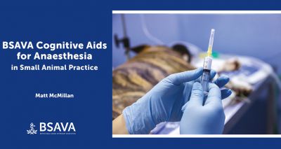 BSAVA adds new anaesthesia guide to resource library